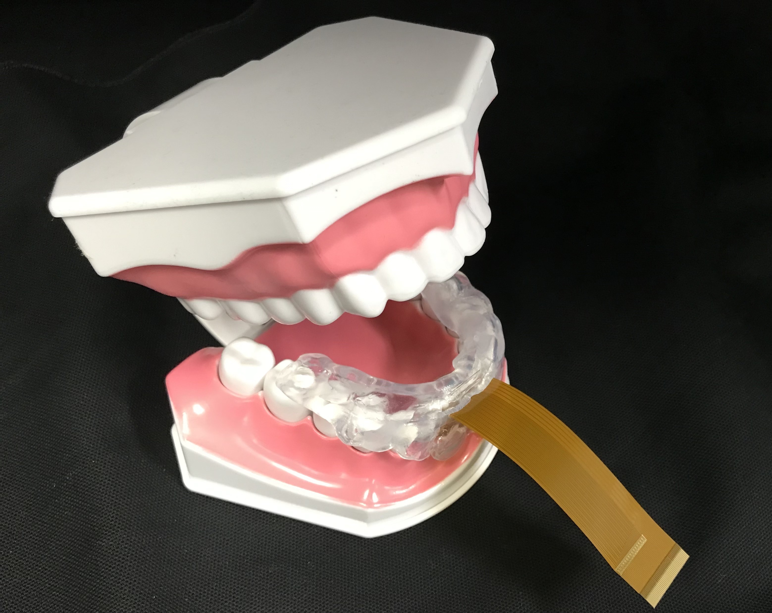 Intraoral stimulation prototype fitted to a dental model